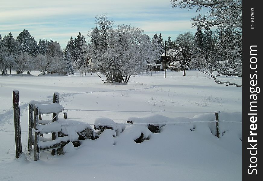 Swiss-Jura, winter