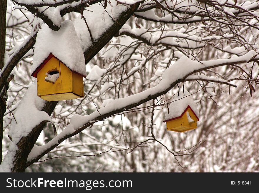 Two yellow birdhouses hanging in snow-filled trees. Two yellow birdhouses hanging in snow-filled trees.