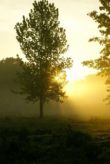 Foggy Morning Stock Image Foggy Morning Stock Image