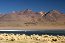 Mountains With Flock Of Birds Royalty Free Stock Images