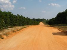 Red Dirt Road Stock Photography