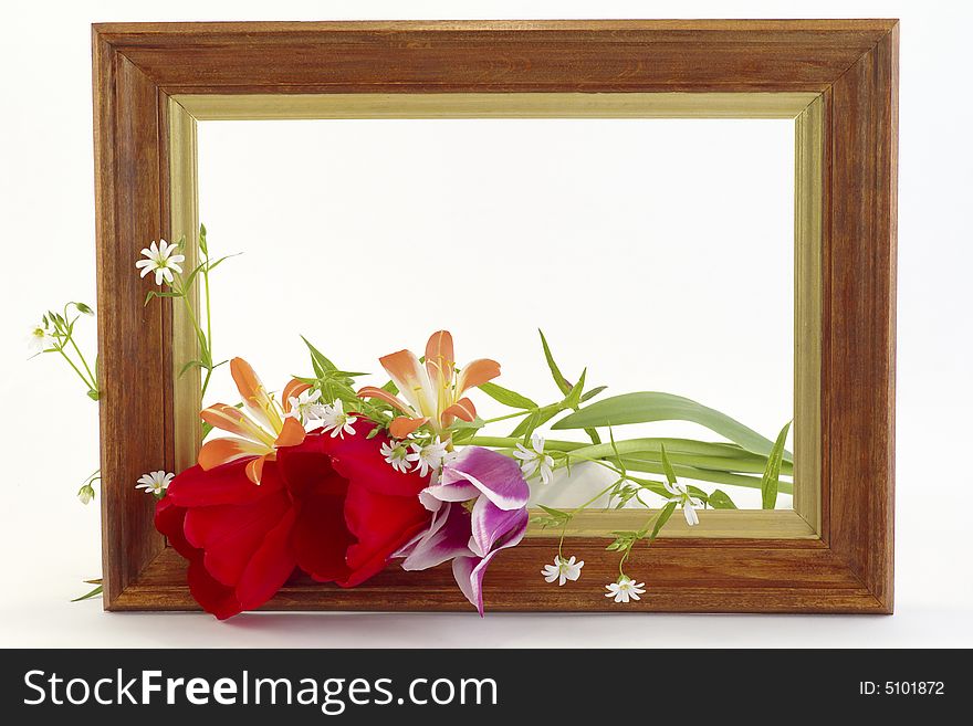 The framework with the bouquet it is flowering against the white background. The framework with the bouquet it is flowering against the white background