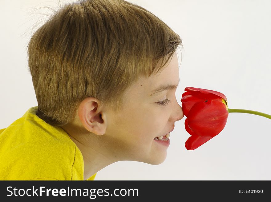 Small boy in the yellow sports shirt smells red flower and laughs. Small boy in the yellow sports shirt smells red flower and laughs