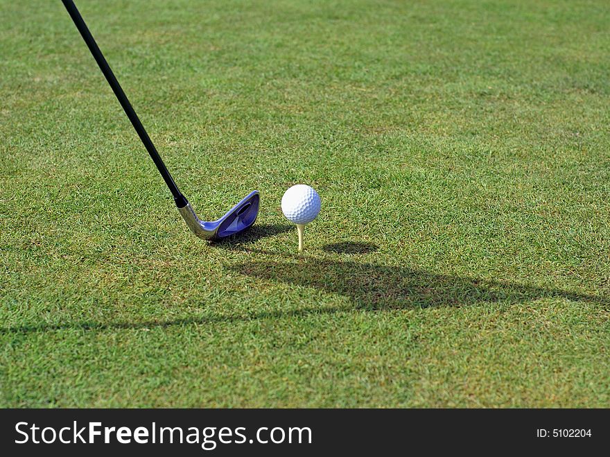 Golf ball in tall green grass. Golf ball in tall green grass