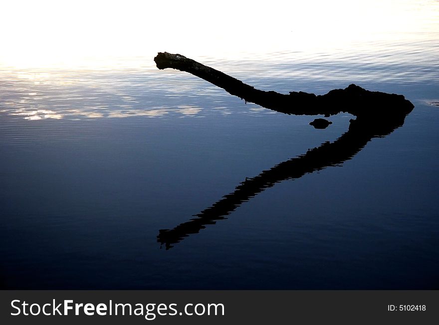 Sunset detain peeking out from water in National Park Cuyabeno. Ecuador