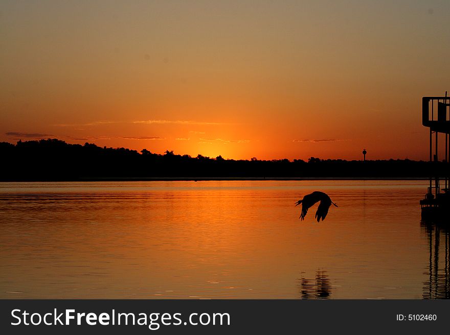 Sunrise on the lake with blue heron flying by