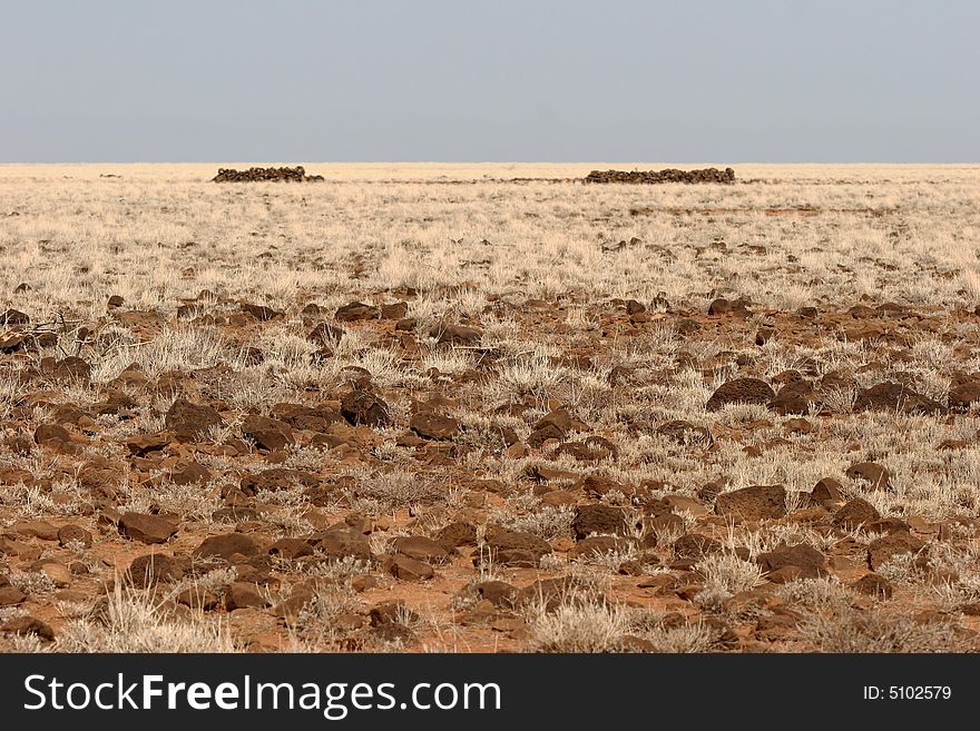 Feature land with drought countryside. Desert North Horr. Kenya