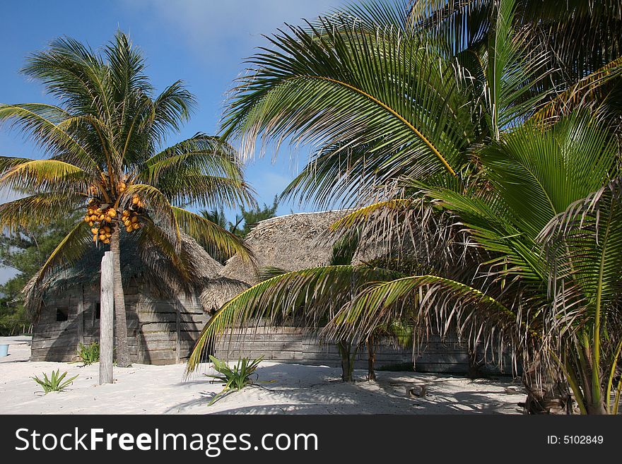 Sleeping on the beach near Playa del Carmen. Tulum. Yucatan. Mexico