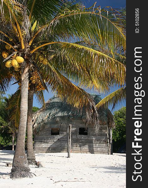 Sleeping on the beach near Playa del Carmen. Tulum. Yucatan. Mexico