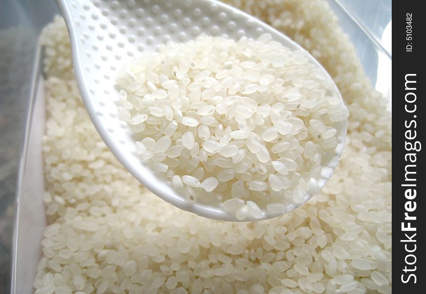 Rice