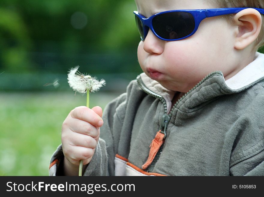 A sweet little boy with a flower and sunglasses. A sweet little boy with a flower and sunglasses