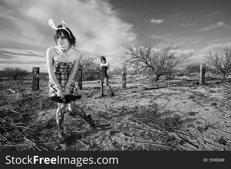 Two punk girls posing in a rural setting. Two punk girls posing in a rural setting