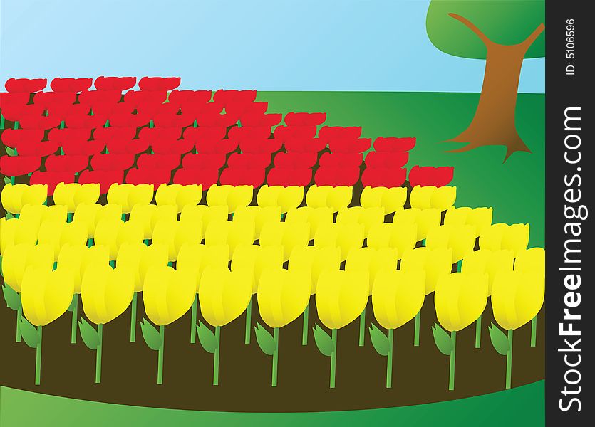 Illustration of flowerbed with yellow and red tulips