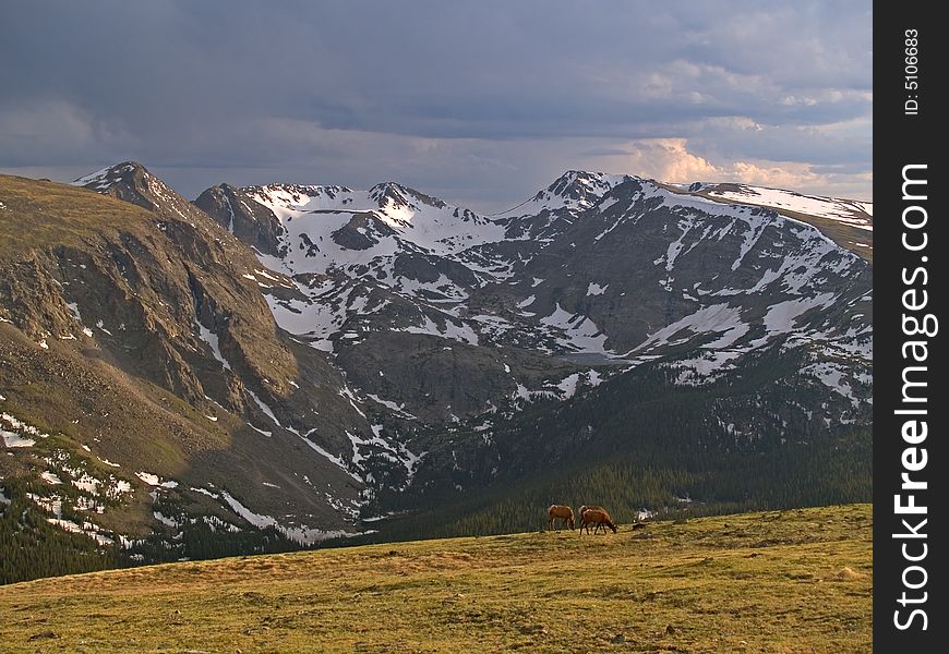 Alpine Pastoral