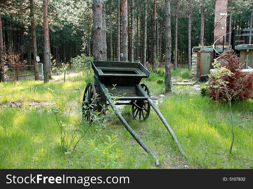 Old wooden wagon like yard decoration over green grass and pines. Old wooden wagon like yard decoration over green grass and pines