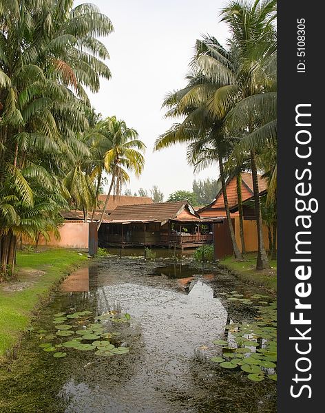 Water garden with sheds and palms