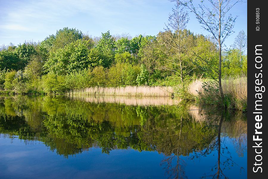 Beautiful lake, view from the water. Trees reflected in water.