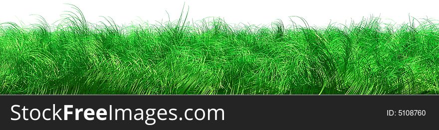 Green grass on white background