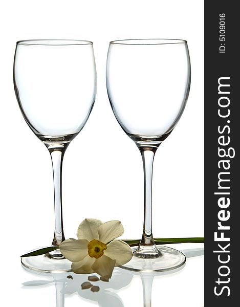 Two empty glasses with daffodil against a white background