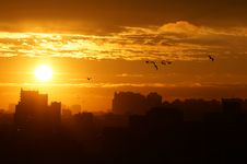 Sunrise Over The City, Clouds, Sun And Flying Birds Royalty Free Stock Image Sunrise Over The City, Clouds, Sun And Flying Birds Royalty Free Stock Image