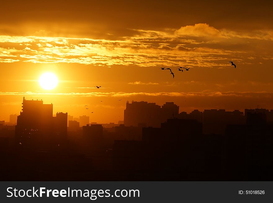 Sunrise over the city, clouds, sun and flying birds