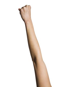 Left Fist Held Up Royalty Free Stock Image Left Fist Held Up Royalty Free Stock Image