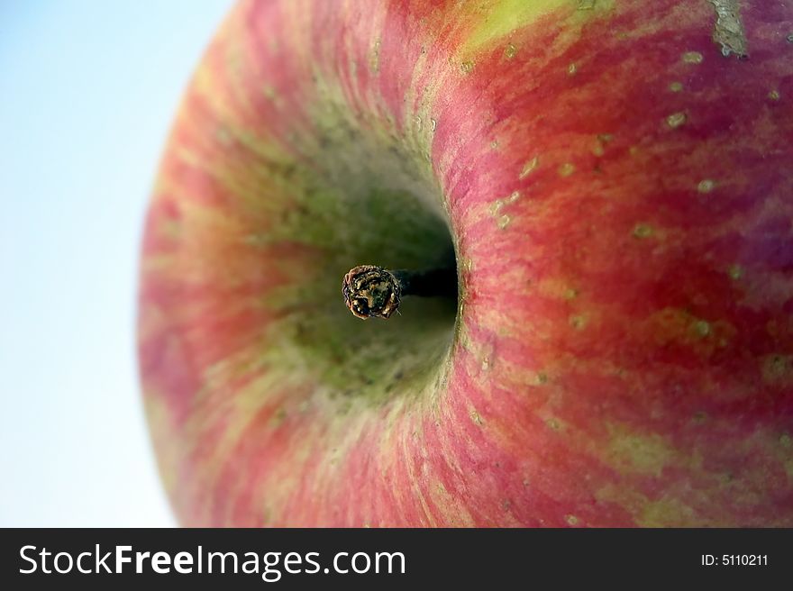 Concept: Healthy Eating and Good Diet with a juicy red green apple, close up on the stalk!. Concept: Healthy Eating and Good Diet with a juicy red green apple, close up on the stalk!