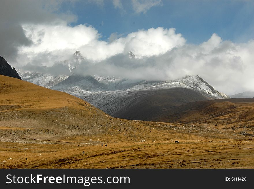 The mountain pasture in the Tibet Plateau under the great expanse of clouds ,Dangxiong,Lhasa,Tibet,China. The mountain pasture in the Tibet Plateau under the great expanse of clouds ,Dangxiong,Lhasa,Tibet,China.