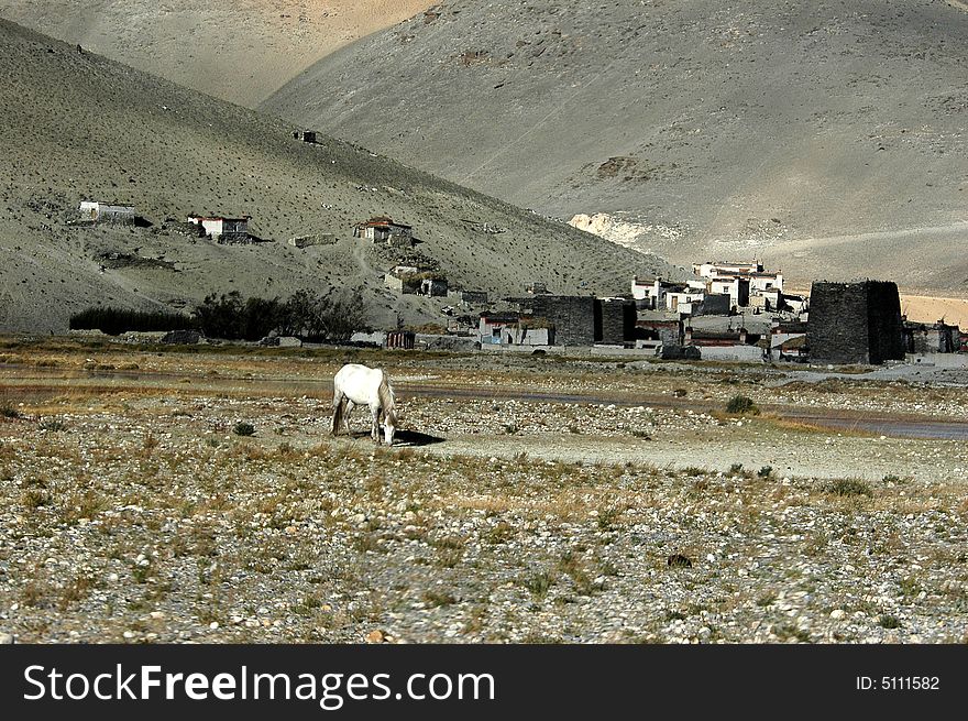 A lonely tibetan mountainous village with grassland. A lonely tibetan mountainous village with grassland.