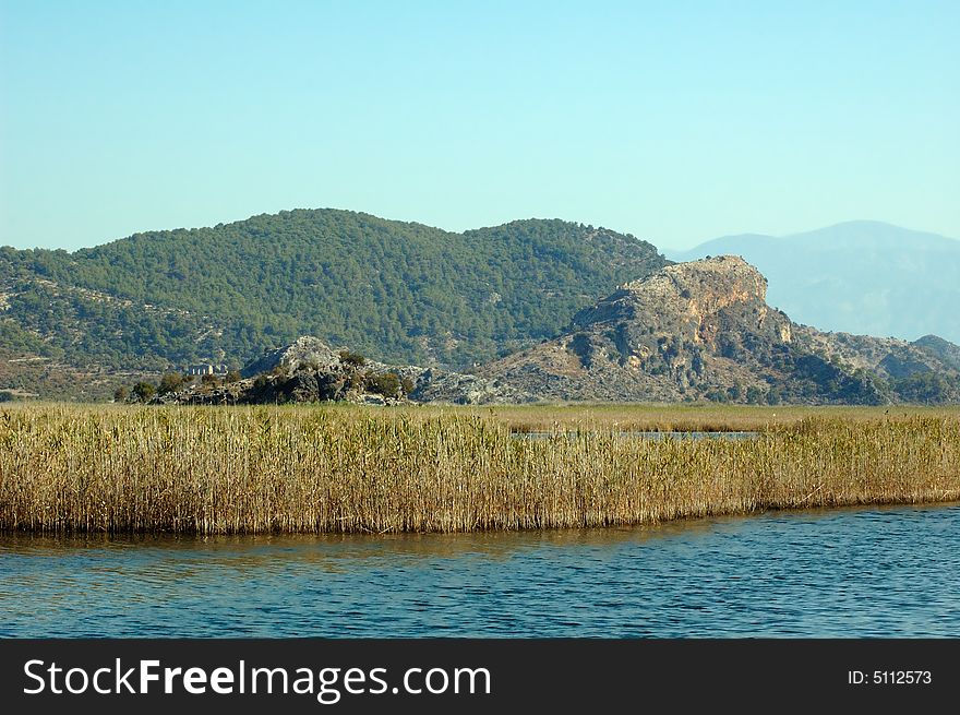 Rushy river coast with mountains and sky on background. Rushy river coast with mountains and sky on background
