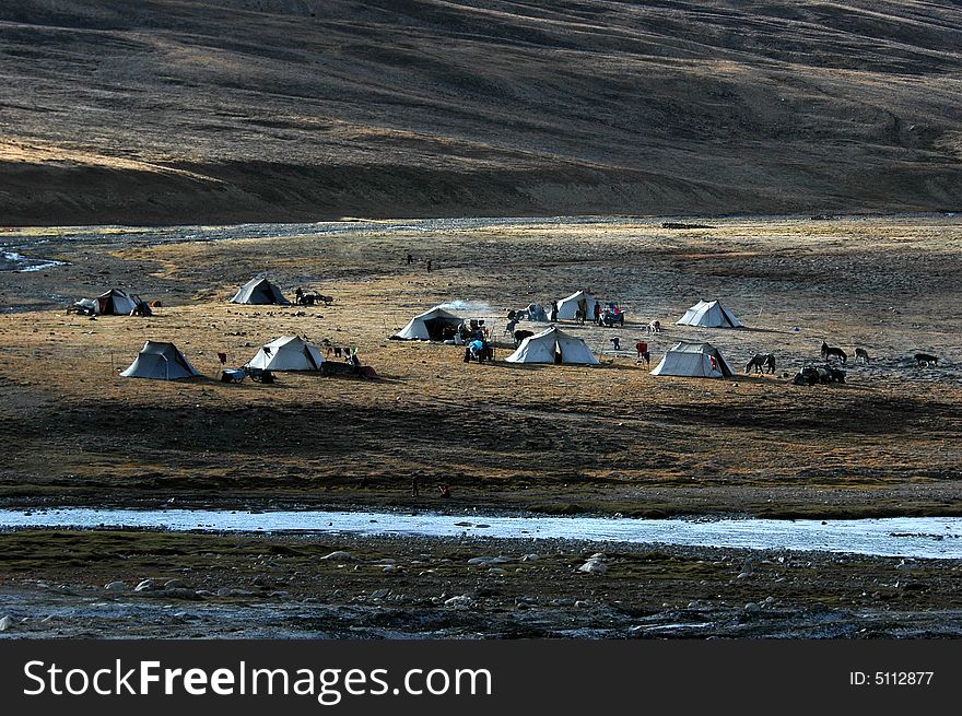 The Tibetan tents of the local herdsmen on the pasture,the beautiful morning sunshine Tibet,China. The Tibetan tents of the local herdsmen on the pasture,the beautiful morning sunshine Tibet,China.