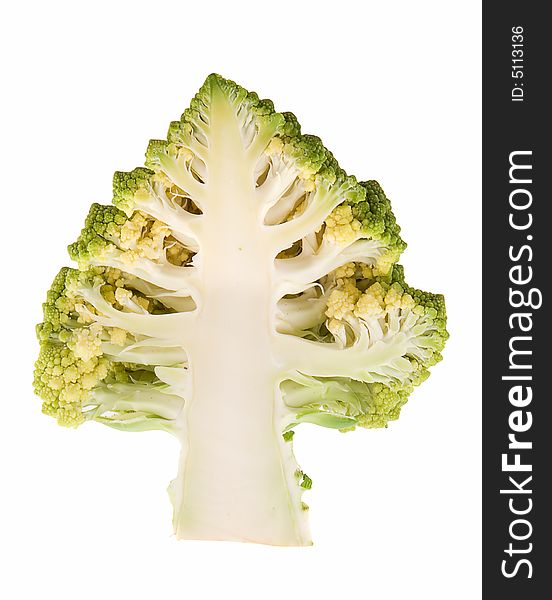Broccoli in profile on white background. Broccoli in profile on white background
