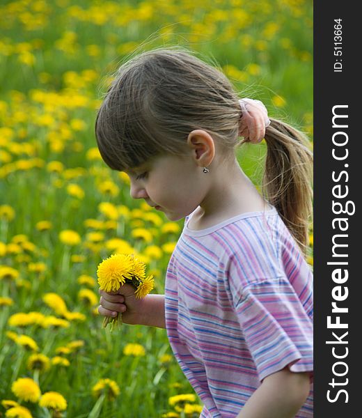 Little girl in the flowering field