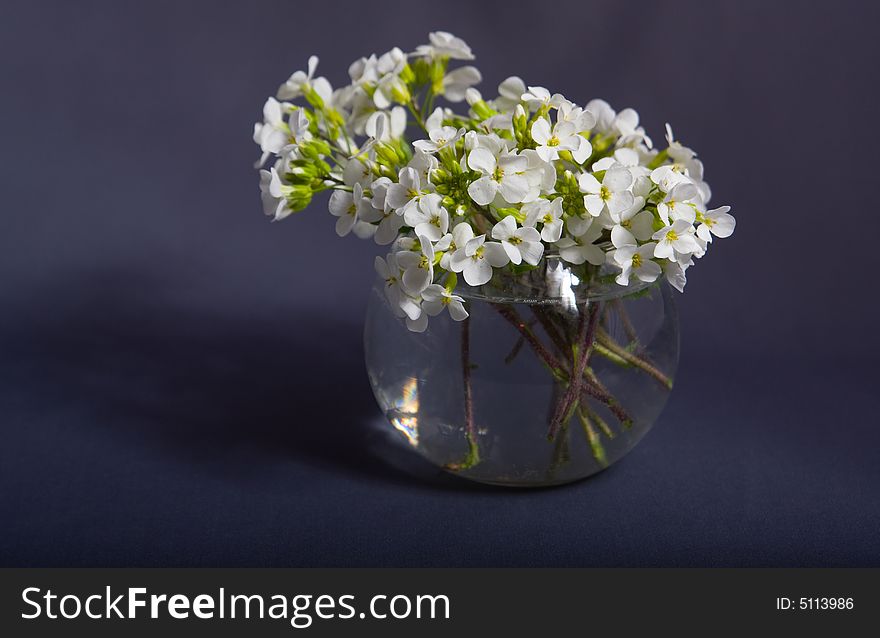 Bouquet of  flowers in a vase