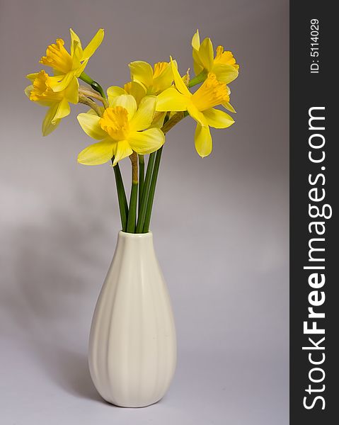 Spring flowers on a grass