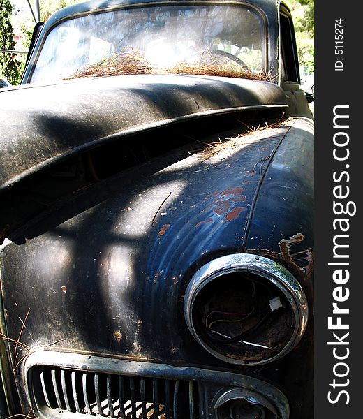 A detail of an abandoned old car. A detail of an abandoned old car