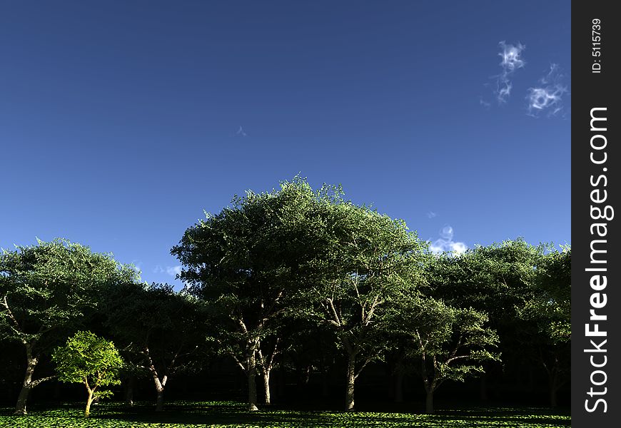 An image of some trees within a simple forest scene.