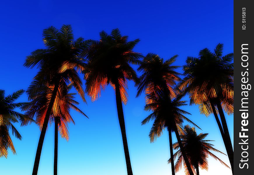 An image of some palm trees against a clear cloudless tropical daylight sky, it would be a good conceptual image representing going on a tropical holiday. An image of some palm trees against a clear cloudless tropical daylight sky, it would be a good conceptual image representing going on a tropical holiday.