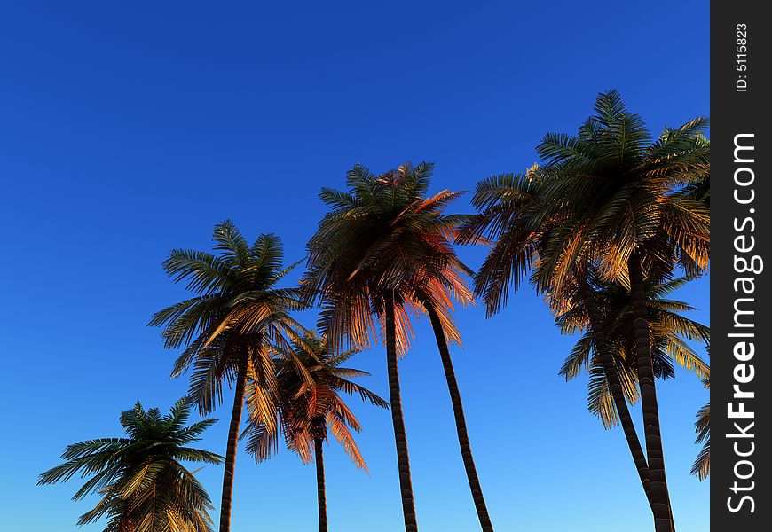 An image of some palm trees against a clear cloudless tropical daylight sky, it would be a good conceptual image representing going on a tropical holiday. An image of some palm trees against a clear cloudless tropical daylight sky, it would be a good conceptual image representing going on a tropical holiday.