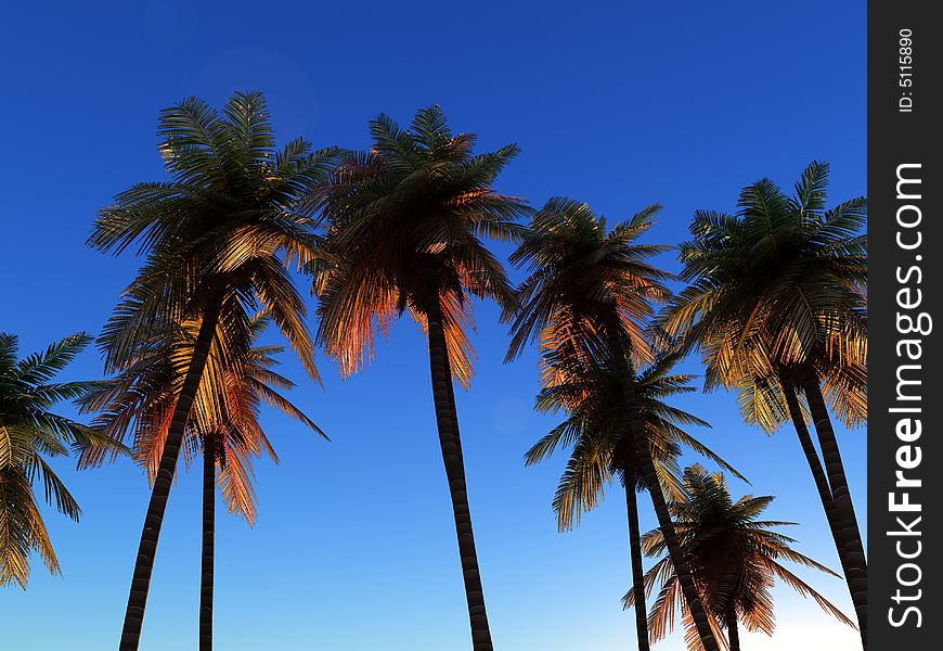An image of some palm trees against a clear cloudless tropical daylight sky, it would be a good conceptual image representing going on a tropical holiday. An image of some palm trees against a clear cloudless tropical daylight sky, it would be a good conceptual image representing going on a tropical holiday.