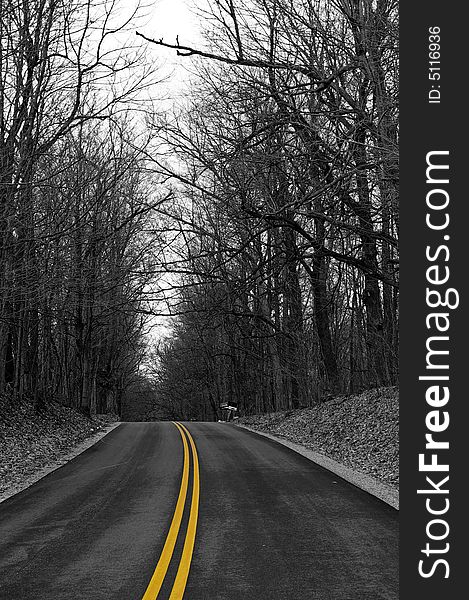 An empty road in the woods. The photo is in B&W, but the lines in the middle of the road are still yellow. An empty road in the woods. The photo is in B&W, but the lines in the middle of the road are still yellow.