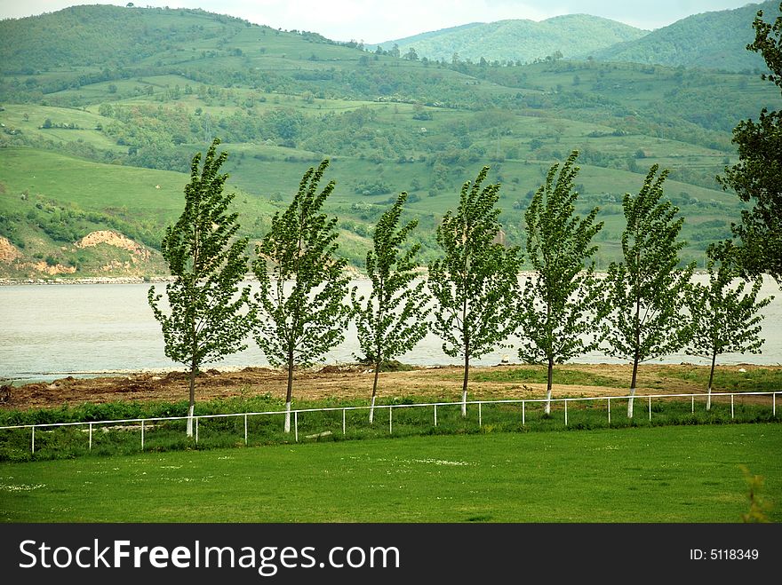 Rural landscape with river mountain and trees in row by meadow. Rural landscape with river mountain and trees in row by meadow