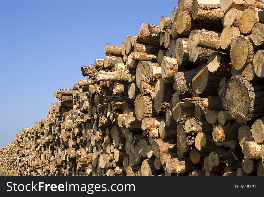 Freshly cut logs stacked against a deep blue sky. Freshly cut logs stacked against a deep blue sky.