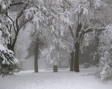 Winter Scene Royalty Free Stock Image Winter Scene Royalty Free Stock Image