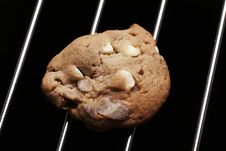 Cookie Biscuit With White Chocolate And Nuts Stock Photo Cookie Biscuit With White Chocolate And Nuts Stock Photo