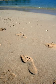 Footprints In The Sand Stock Image Footprints In The Sand Stock Image