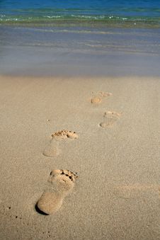 Footprints In The Sand Royalty Free Stock Photos Footprints In The Sand Royalty Free Stock Photos