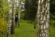 Girl In The Birch Grove Royalty Free Stock Images Girl In The Birch Grove Royalty Free Stock Images