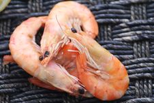 Shrimps Stock Images