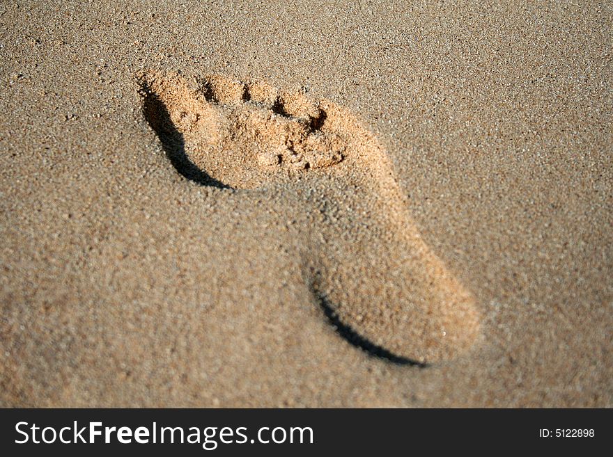 A footprint in the sand stands out in the morning light.